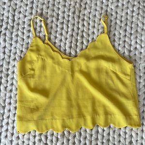 Crop scallop top